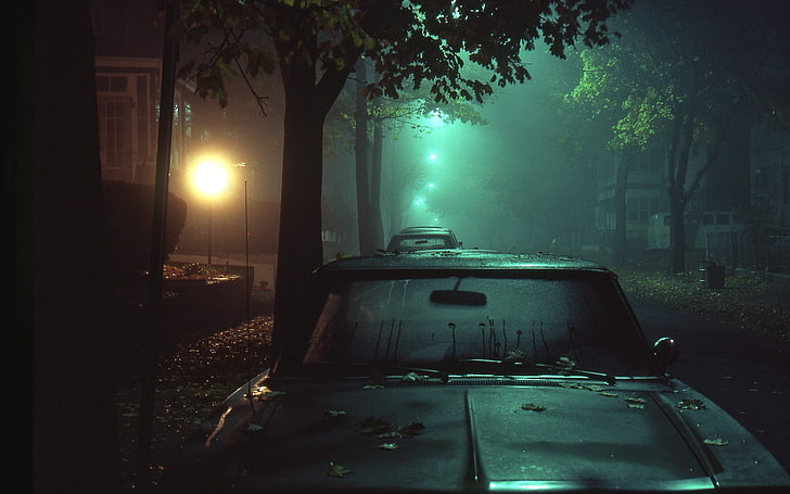 black car, street, night, street light, dark, lights, mist, mode of transportation, HD wallpaper