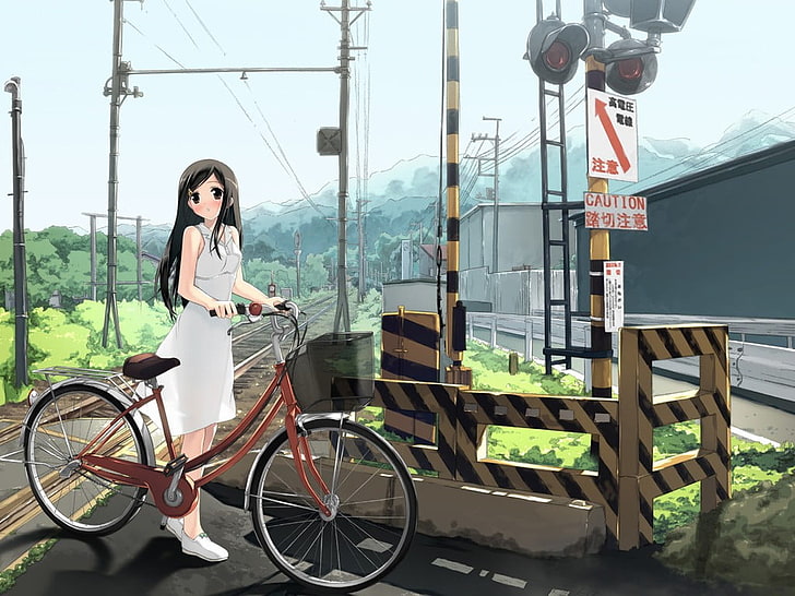 HD wallpaper: girl holding red dutch bike anime illustration, city, bicycle  | Wallpaper Flare