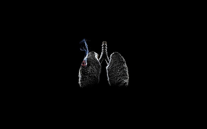 lungs clipart, BACKGROUND, SMOKE, TOBACCO, LIGHT, CERVI, CIGARETTE, HD wallpaper