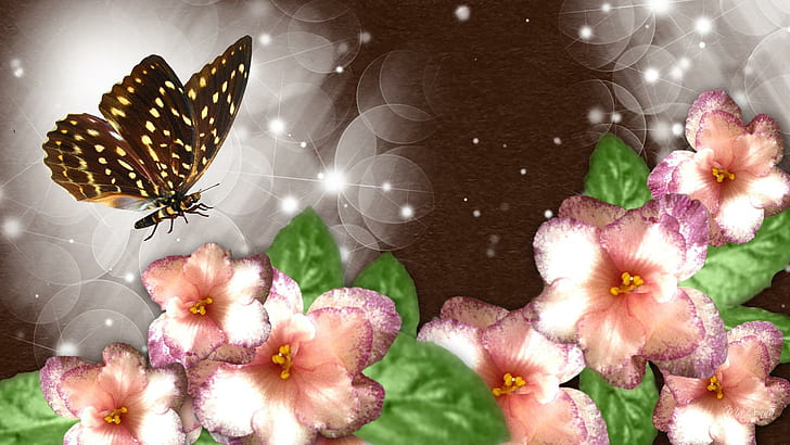 Butterfly Wonder, butterfly and floral photo, glitter, scintillate, HD wallpaper