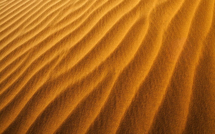 Sahara Desert Sands HD, 1920x1200, HD wallpaper