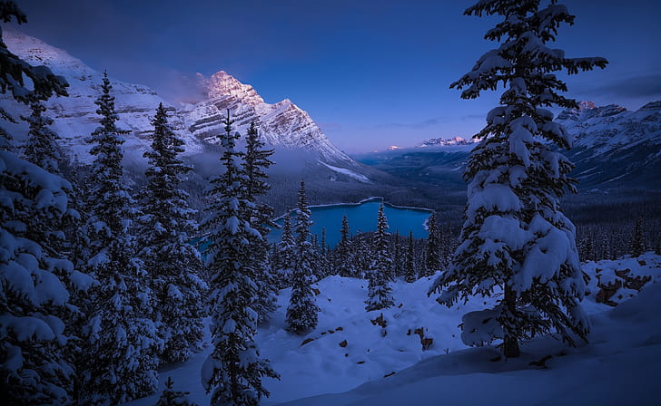 Banff National Park, Frozen, Canadian Rockies, Peyto Lake, Winter, HD wallpaper