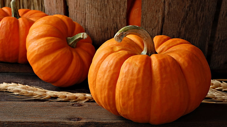 squash, celebration, pumpkin, vegetable, produce, halloween