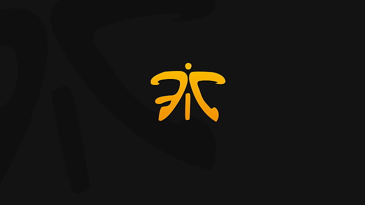 Fnatic logo, game, weapons, Adobe, Joker, Cats, csgo, Funny, counter strike global offensive
