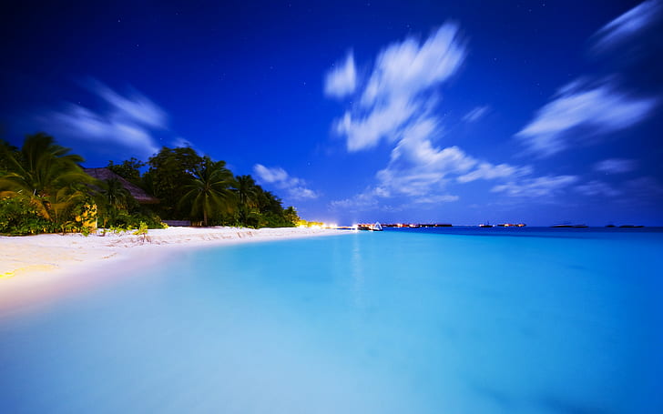 beach, tropical, sea, palm trees, sky, HD wallpaper