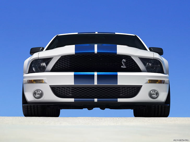car, Ford Mustang, Ford Mustang Shelby