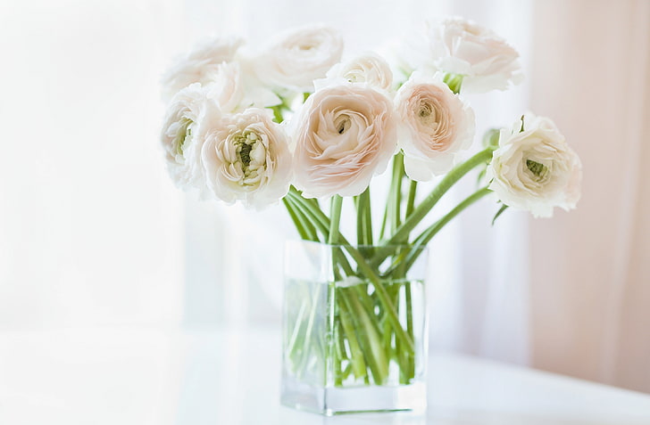 pink peony flowers, vase, white, Ranunculus, Asian, Buttercup, HD wallpaper
