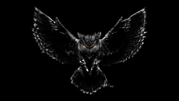 Nightmare, Owl, Black, Scary, HD, HD wallpaper