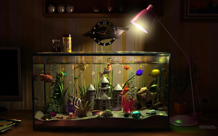 fish clocks lamps fish tank digital art Animals Fish HD Art, HD wallpaper