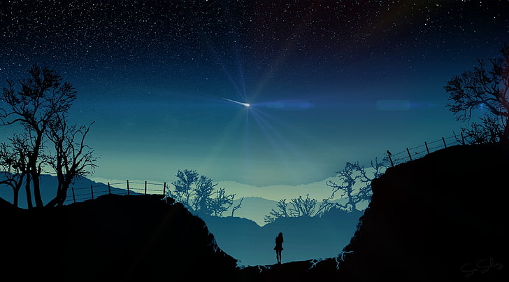 silhouette of person in mountain wallart, star - space, sky, tree, HD wallpaper