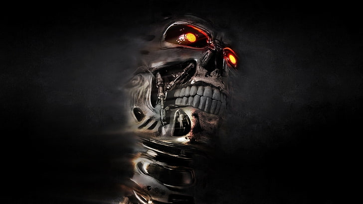 Endoskeleton, skull, Terminator, HD wallpaper