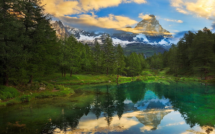 pine trees, nature, landscape, summer, Matterhorn, forest, lake, HD wallpaper