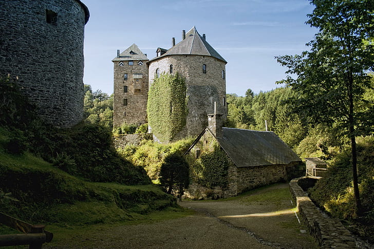Reinhardstein Castle, grass, burg, classic, trees, stronghold, HD wallpaper