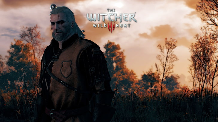 The Witcher Wild Hunt game, The Witcher 3: Wild Hunt, one person, HD wallpaper