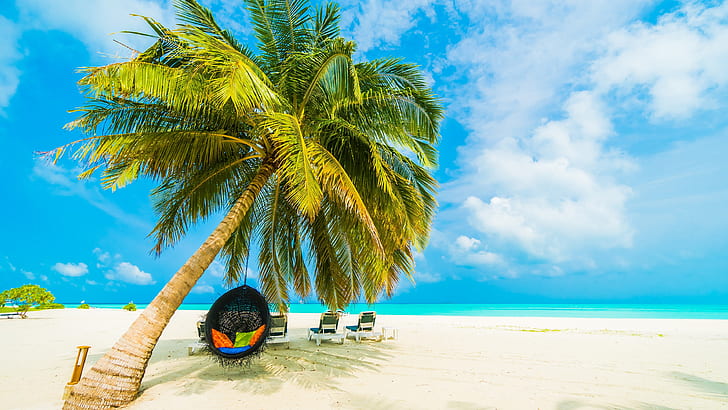 tropical beach, maldives, tropical landscape, summertime, tourism