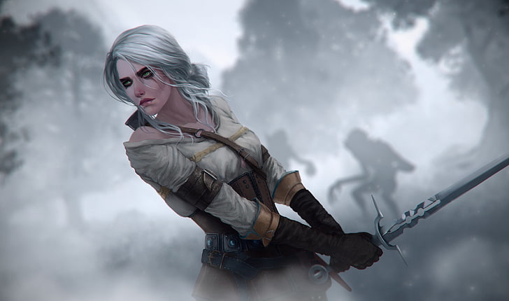 female game character holding sword, digital art, The Witcher
