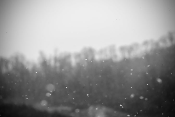 untitled, snow, snowdrops, monochrome, no people, nature, winter, HD wallpaper