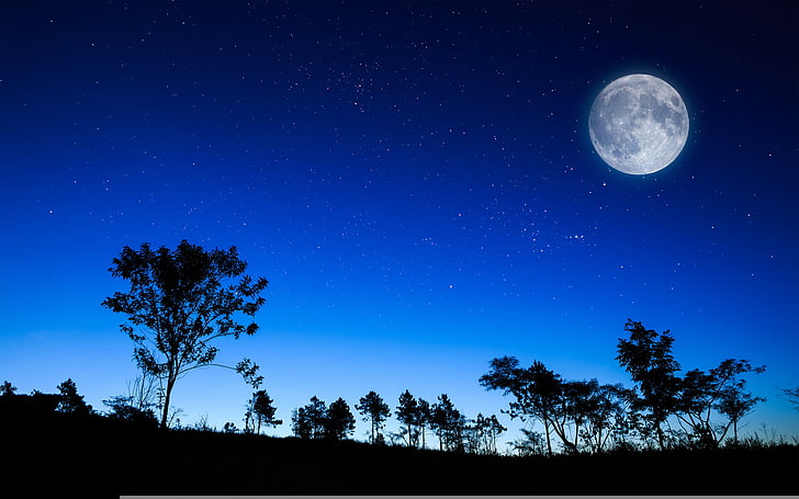 silhouette of trees and full moon, the sky, stars, night, the moon, HD wallpaper