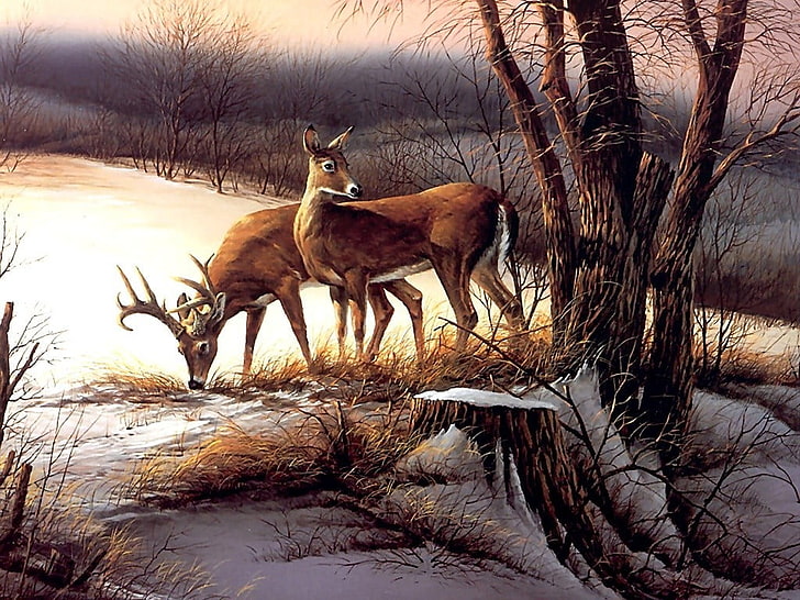 two brown deer painting, animals, nature, Terry Redlin, artwork