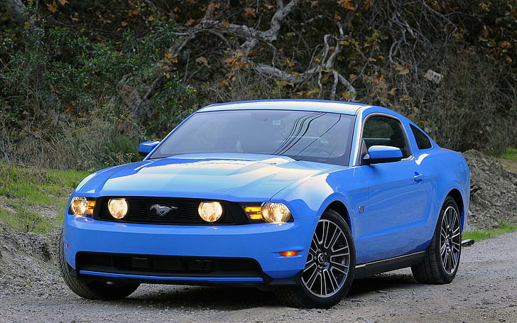 Hd Wallpaper 2010 Ford Mustang Gt Blue Ford Mustang Cars Wallpaper Flare