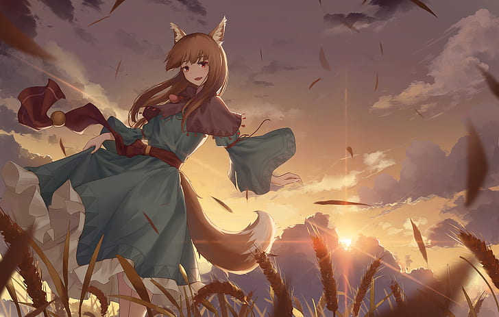 Spice And Wolf Anime Series Art Effect Poster 11 18inchx12inch  Photographic Paper  Animation  Cartoons posters in India  Buy art film  design movie music nature and educational paintingswallpapers at  Flipkartcom