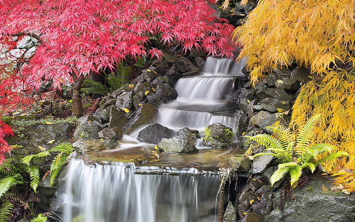 Autumn Landscape Waterfall With Japanese Maple Trees Portland United States Of America Android Wallpapers For Your Desktop Or Phone 3840×2400, HD wallpaper