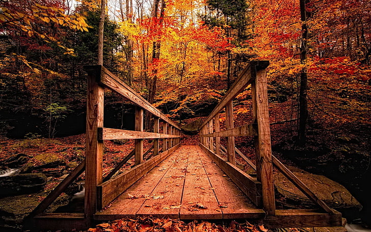brown wooden bridge, wooden structure, forest, autumn, nature, HD wallpaper