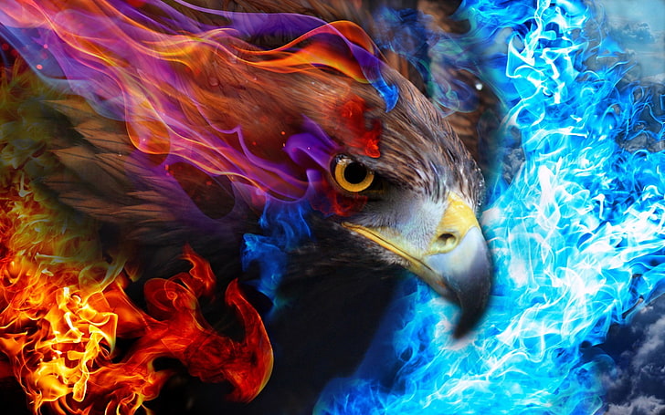 eagle, fire, sky