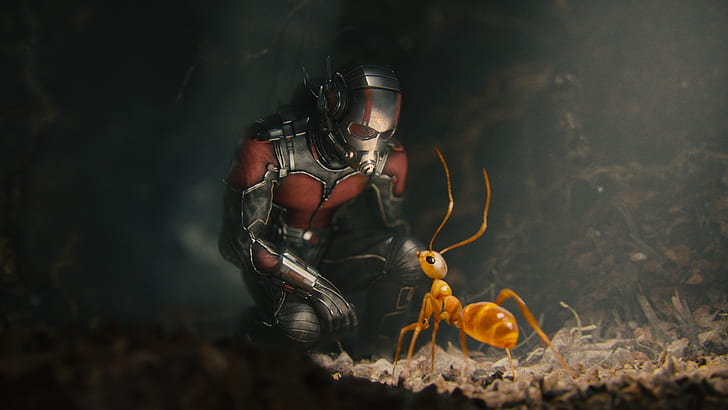 Ant-Man, ants, movies, fantasy art, HD wallpaper