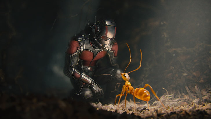 Marvel Antman, Ant-Man, fantasy art, movies, ants, animal wildlife, HD wallpaper