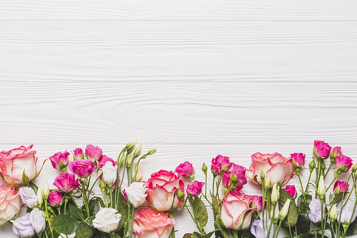 HD wallpaper: Flowers, Background, Roses, Eustoma | Wallpaper Flare
