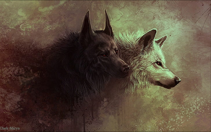 wolf, animals