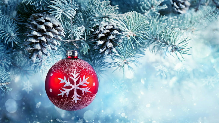 christmas ball, christmas decoration, cone, pine, fir, snow, HD wallpaper