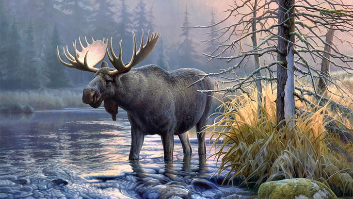wildlife, lake, moose, wilderness, deer, water, amazing, animal, HD wallpaper