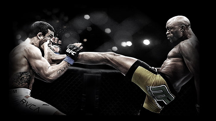 kickboxing, Anderson Silva, sport, boxing - sport, strength