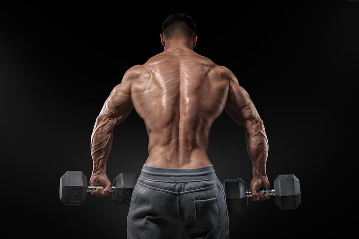 HD wallpaper: Bodybuilding, bench standing, Training, exercise, back,  motivation | Wallpaper Flare