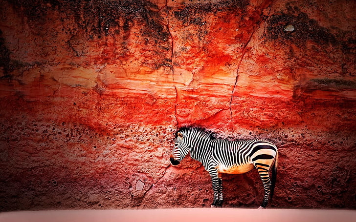 HD wallpaper: red and white zebra print textile, animals, zebras, rocks,  creativity | Wallpaper Flare