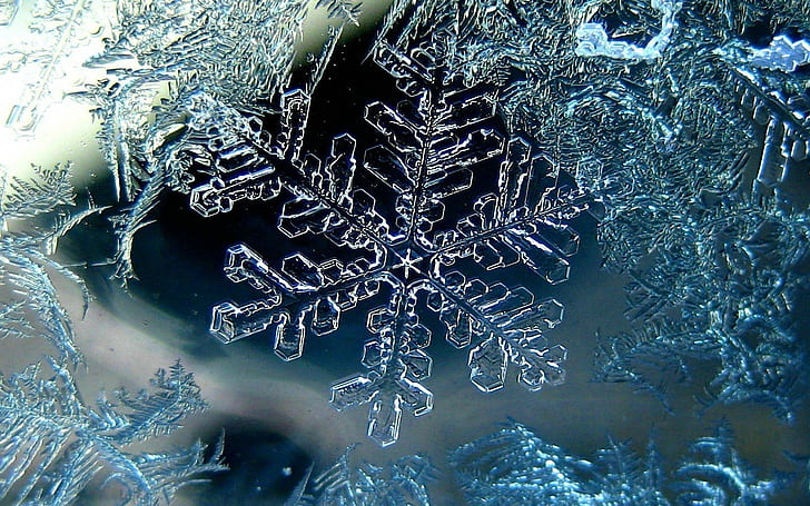 snowflake, winter, macro, ice, HD wallpaper