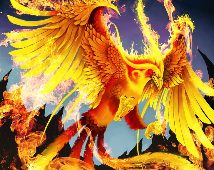 phoenix digital wallpaper, fire, bird, wings, art, tail, flame, HD wallpaper