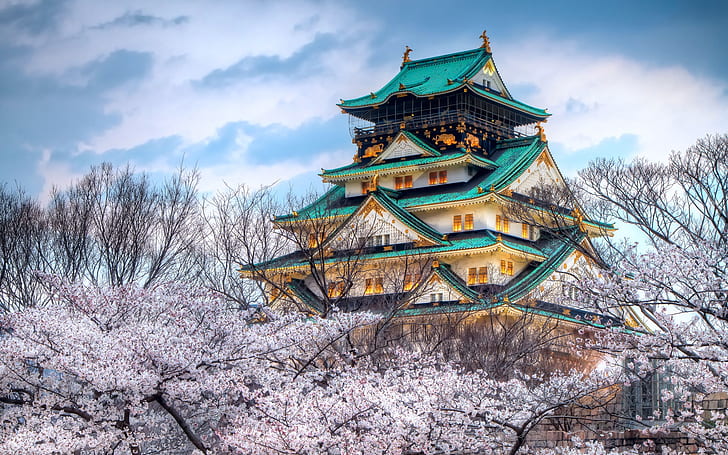 The temple of the cherry blossom season in Japan, HD wallpaper