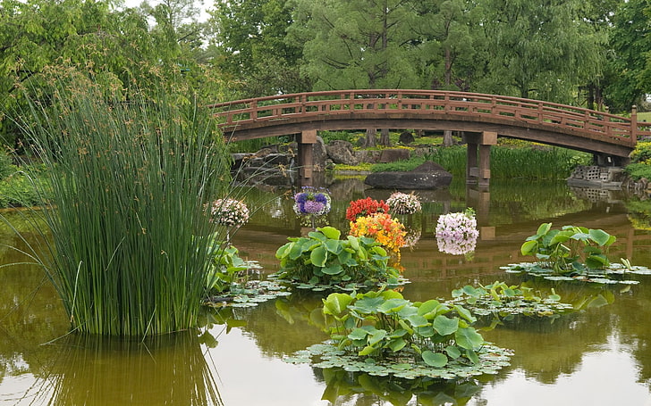 Japan, plant, water, reflection, bridge, lake, nature, connection, HD wallpaper