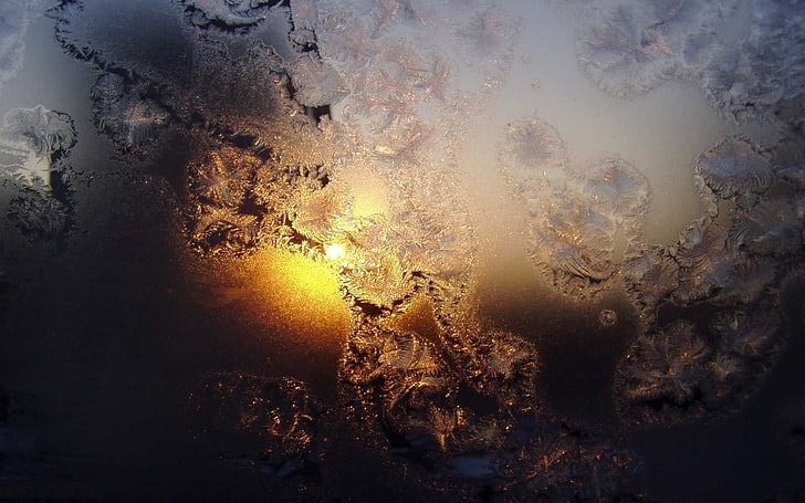 white and yellow digital wallpaper, frost, Sun, ice, sunlight