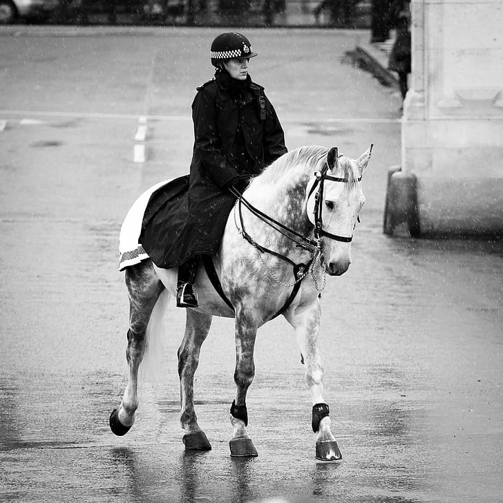 gray scale photo of woman riding on horse, city  police, police woman