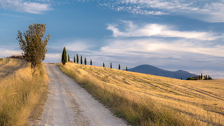 tuscany, italy, road, dirt road, cypress, cypress tree, hill, HD wallpaper