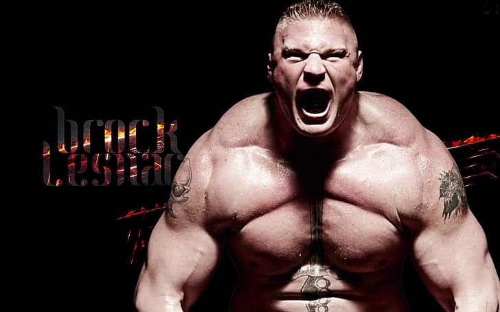 Brock Lesnar, wrestling, WWE, men, HD wallpaper