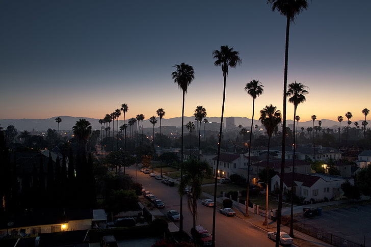 sunset, cityscape, Los Angeles, dusk, palm trees, street, tropical climate, HD wallpaper
