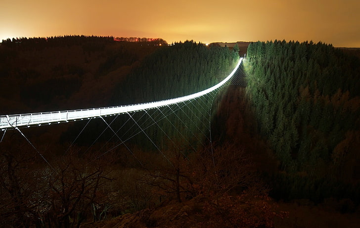 bridge digital wallpaper, dark, night, lights, trees, forest