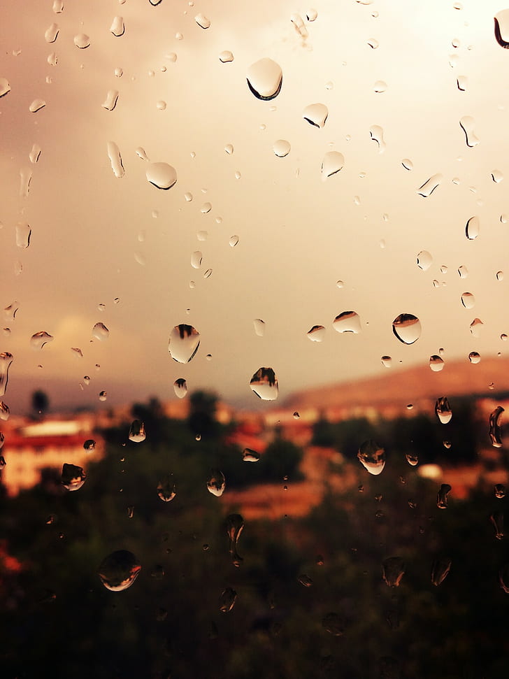 water dew, rain, window, water on glass, drop, wet, glass - material, HD wallpaper