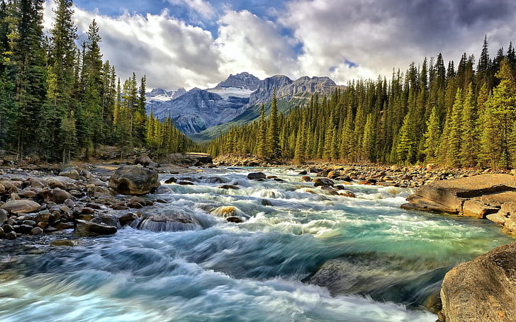 Alberta Canada Rocky Mountain river riverbed with rocks pine forest cloudy sky Wallpaper for Desktop 1920×1200
