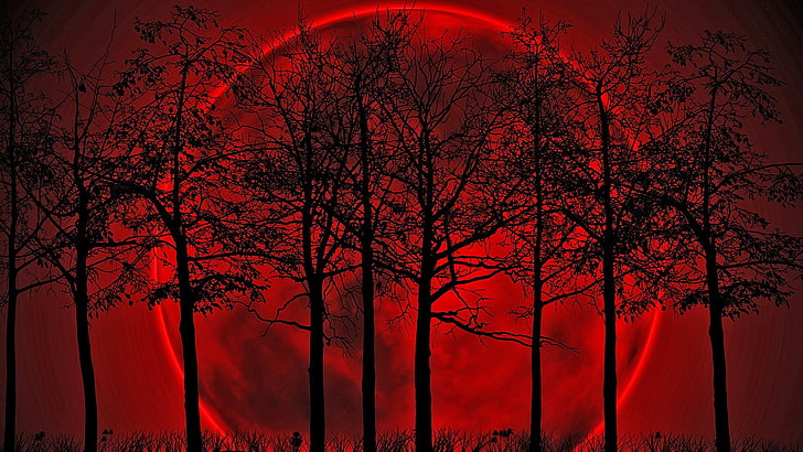 red moon illustration, Blood moon, tree, beauty in nature, plant, HD wallpaper